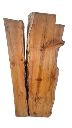 English yew live - english, slab