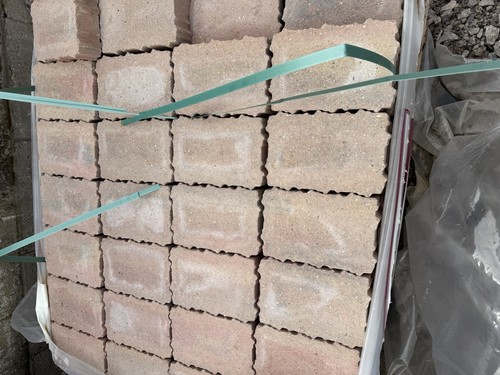 Tegula priora 160 - tegula, x60